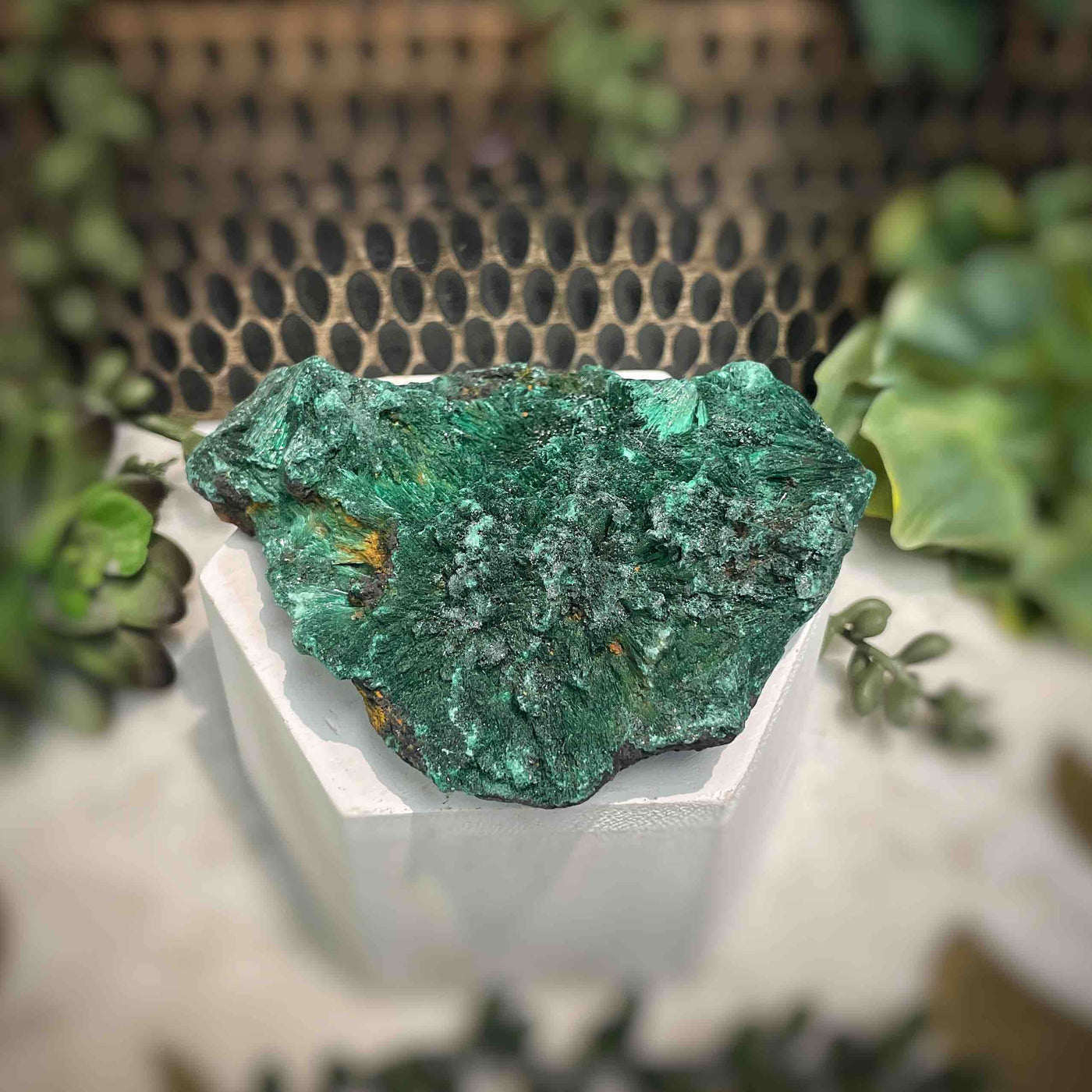 Malachite - Specimen - QQ444
