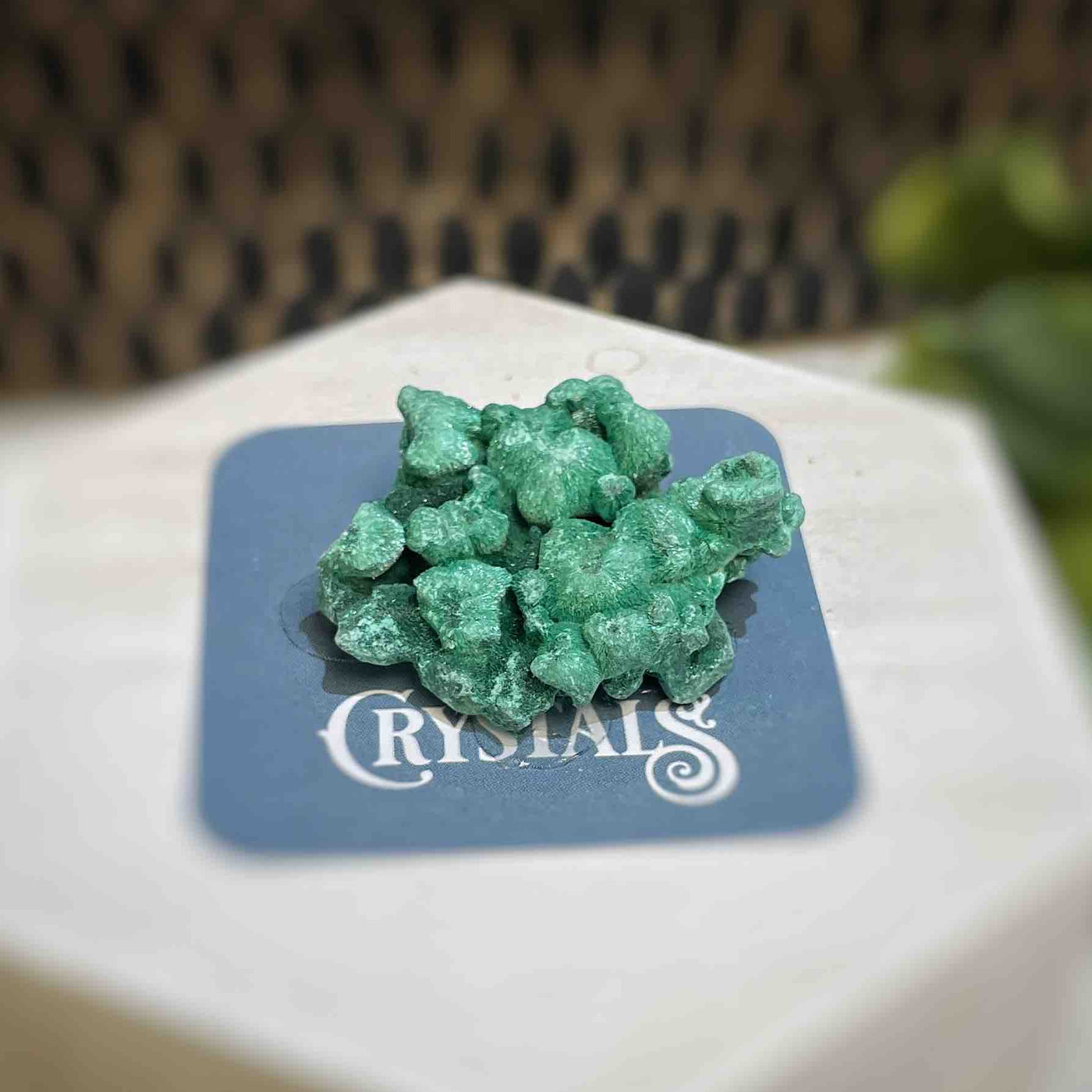 Malachite - Specimen - QQ445