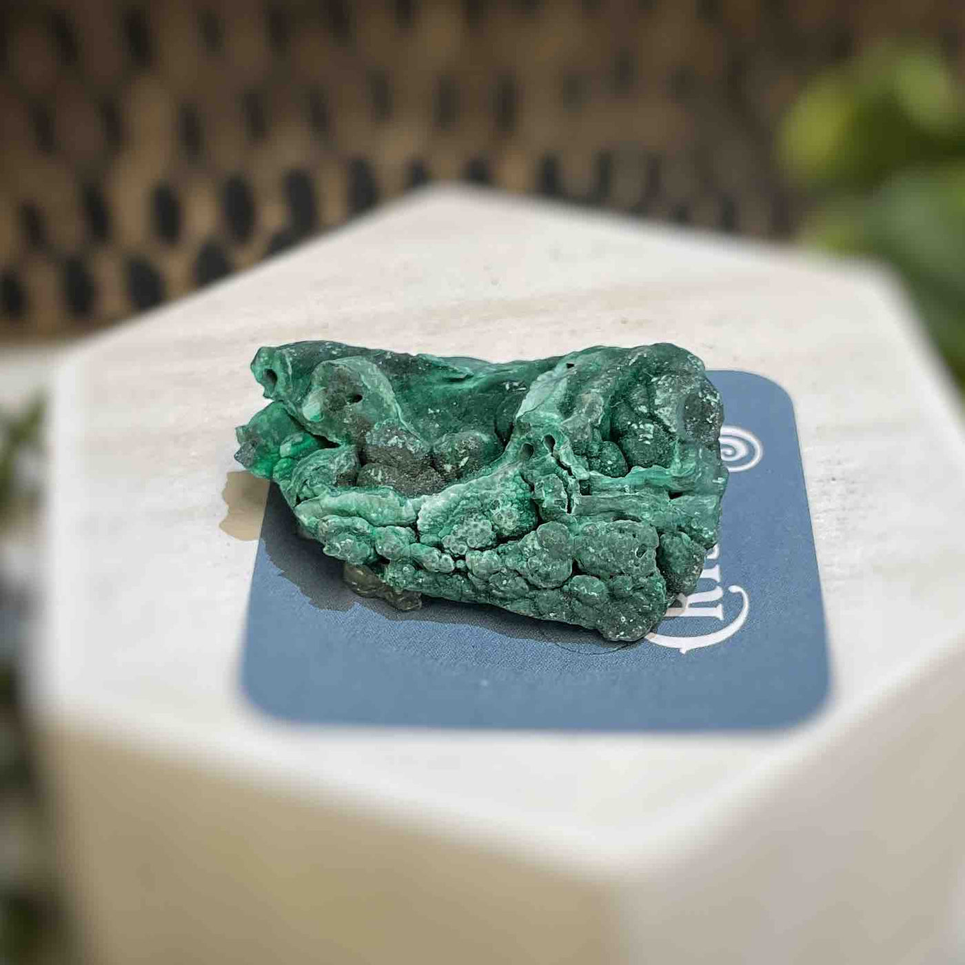 Malachite - Specimen - QQ446