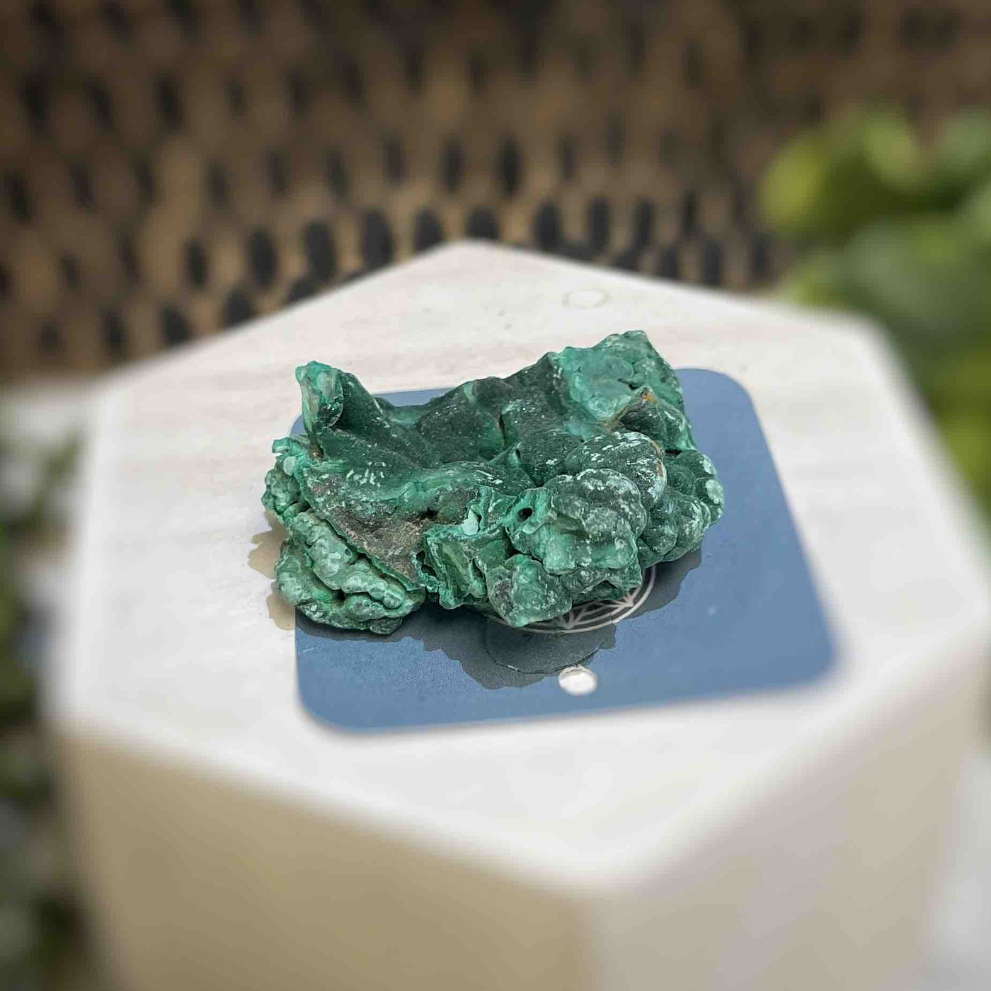 Malachite - Specimen - QQ447