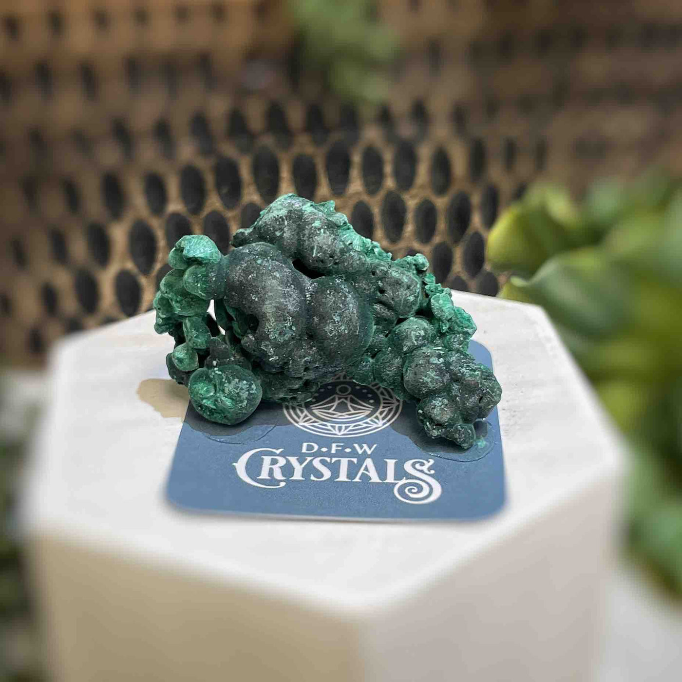 Malachite - Specimen - QQ448