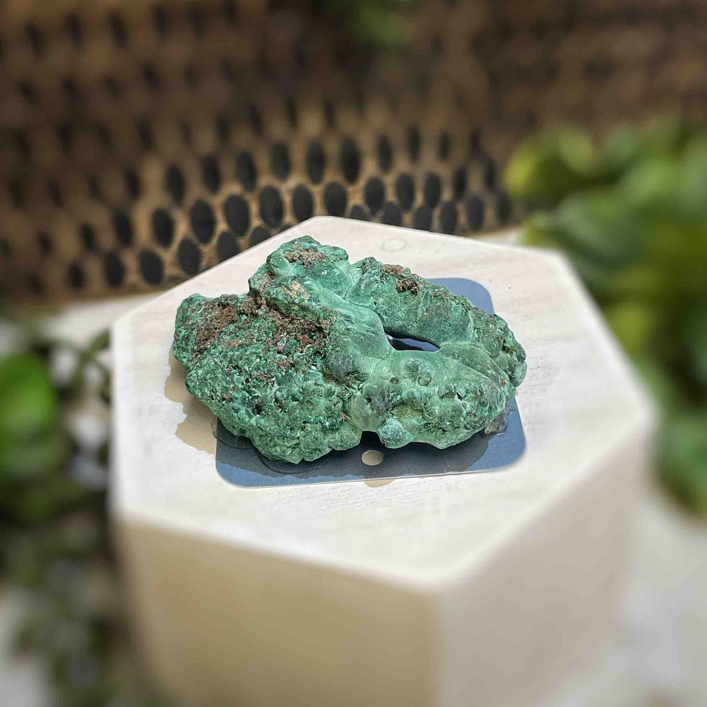 Malachite - Specimen - QQ449
