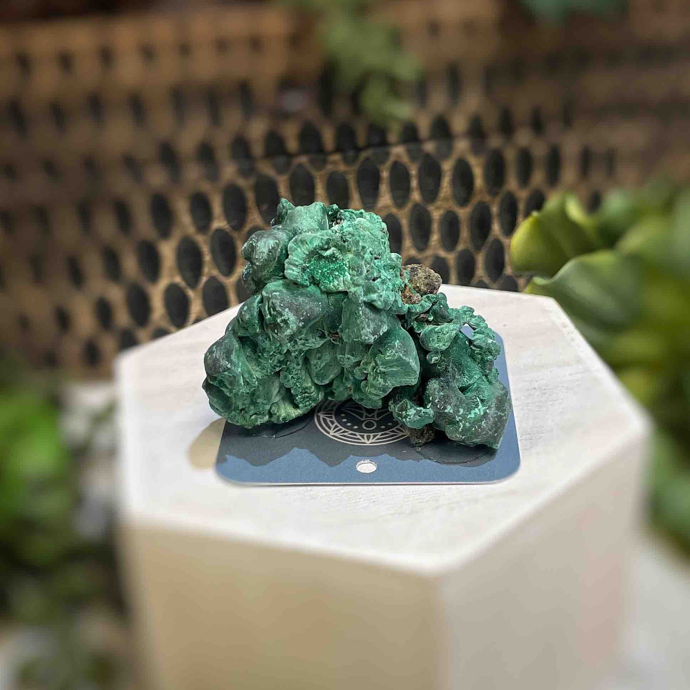 Malachite - Specimen - QQ450