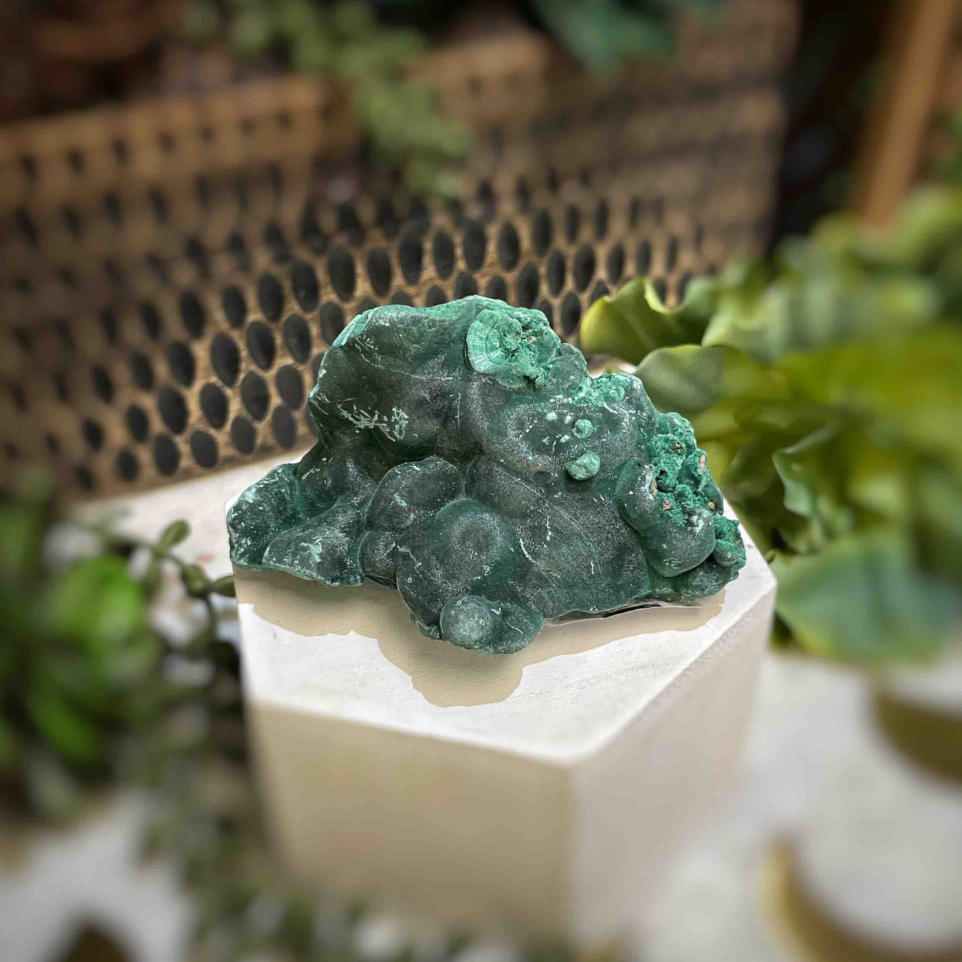Malachite - Specimen - QQ452