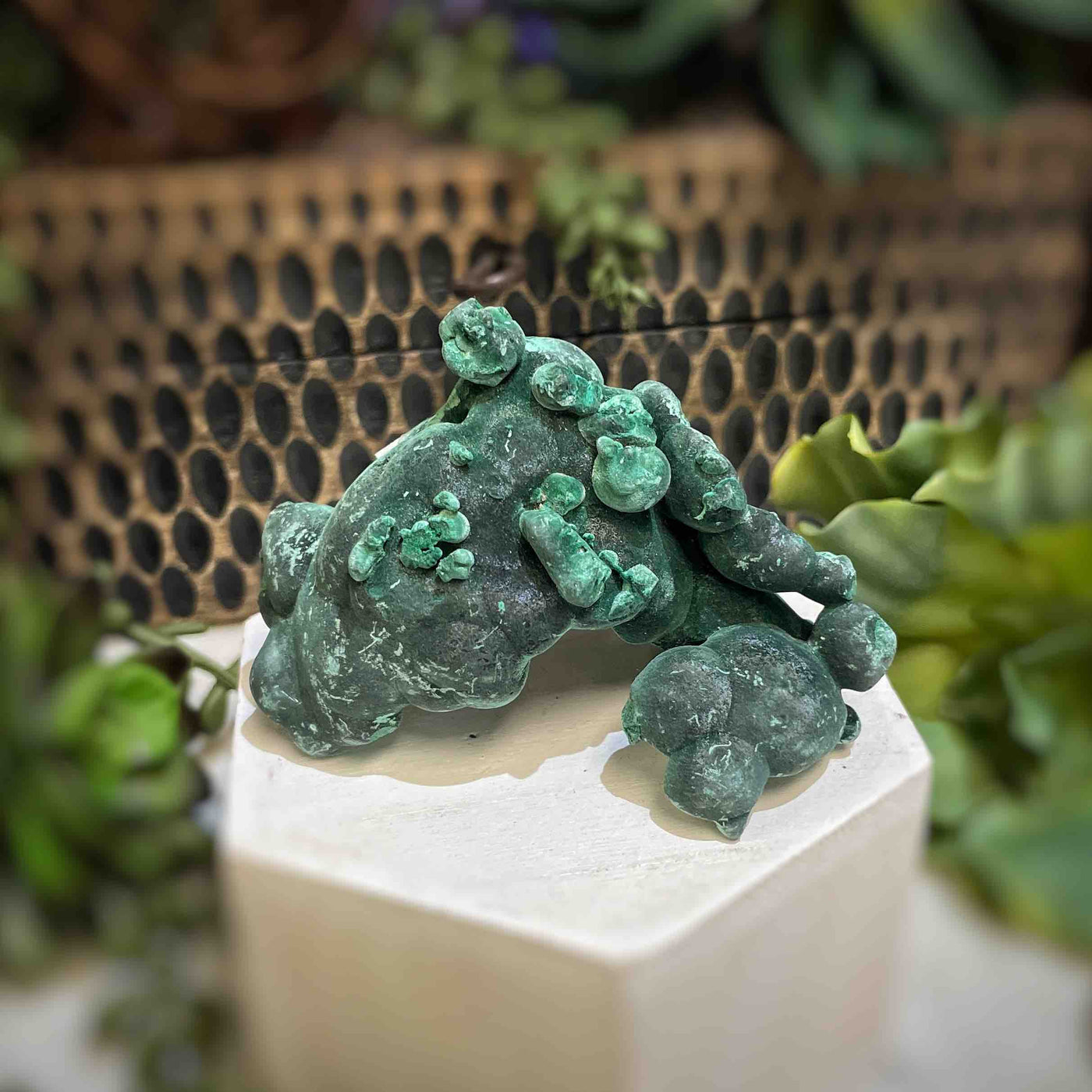 Malachite - Specimen - QQ453