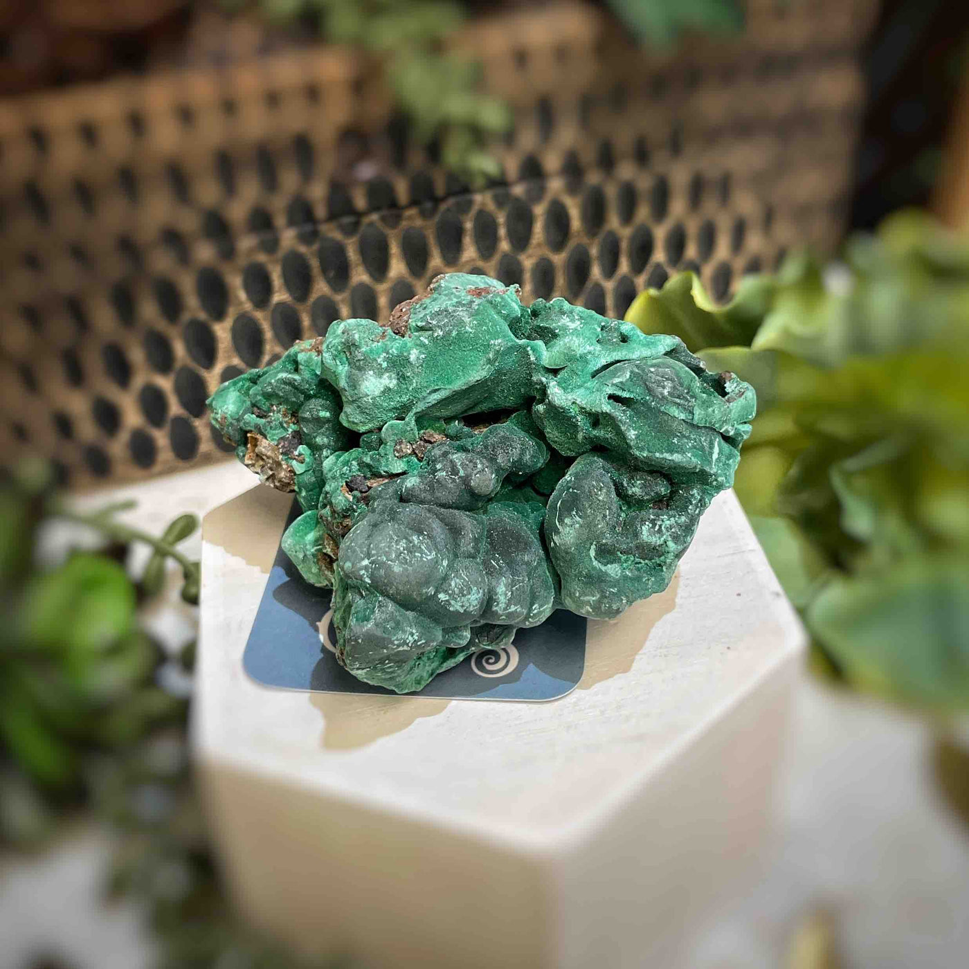Malachite - Specimen - QQ454