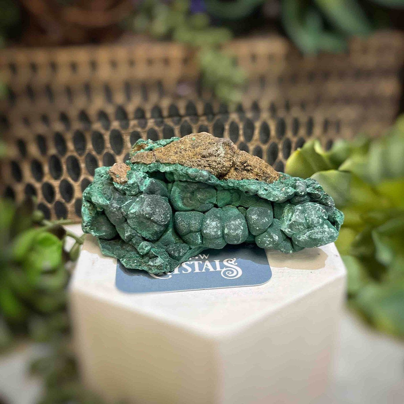 Malachite - Specimen - QQ455
