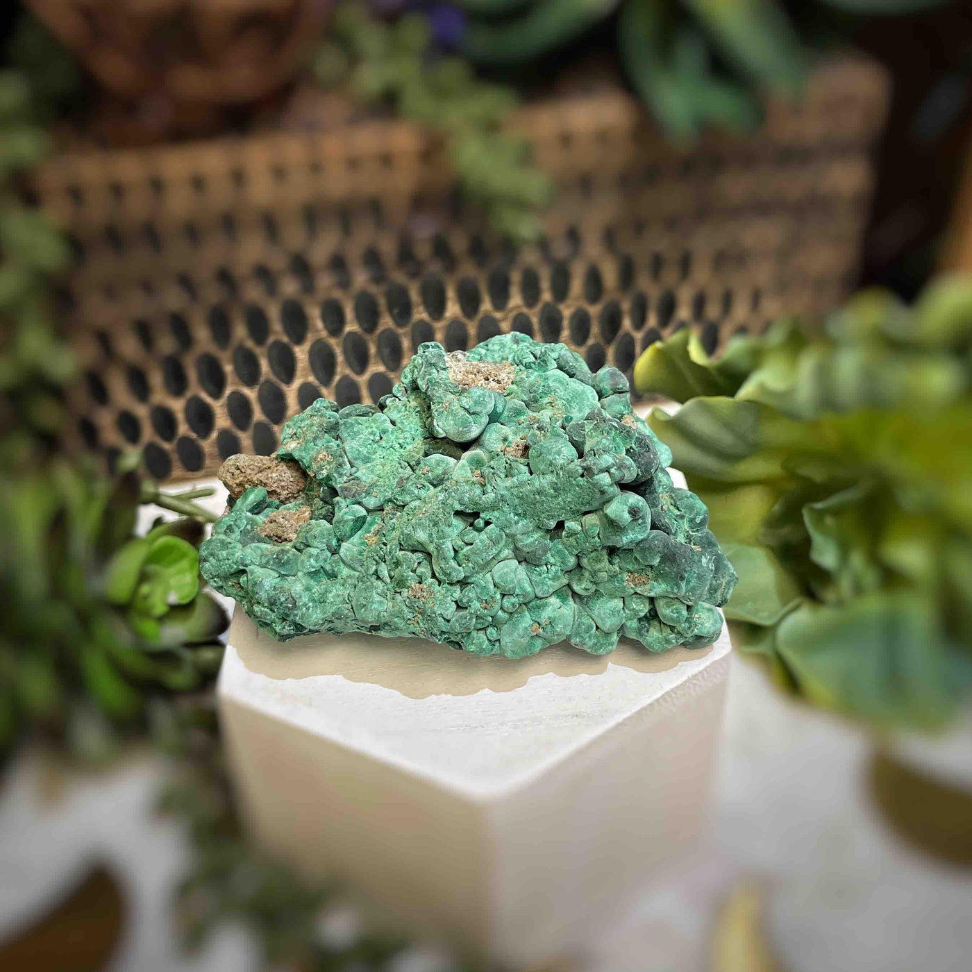 Malachite - Specimen - QQ457