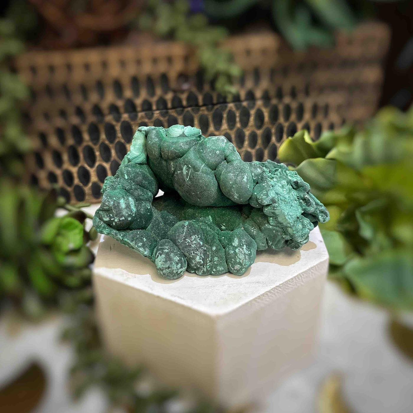 Malachite - Specimen - QQ458