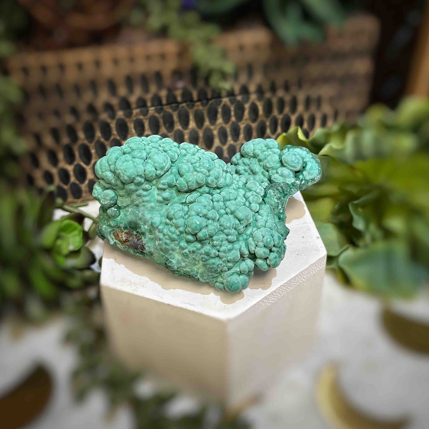 Malachite - Specimen - QQ459