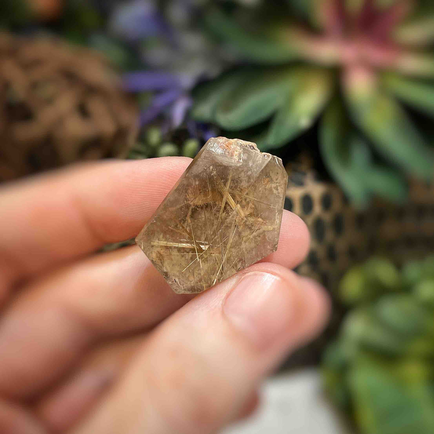 Rutilated Quartz - Freeform - QQ468 - 1.25"x0.6"