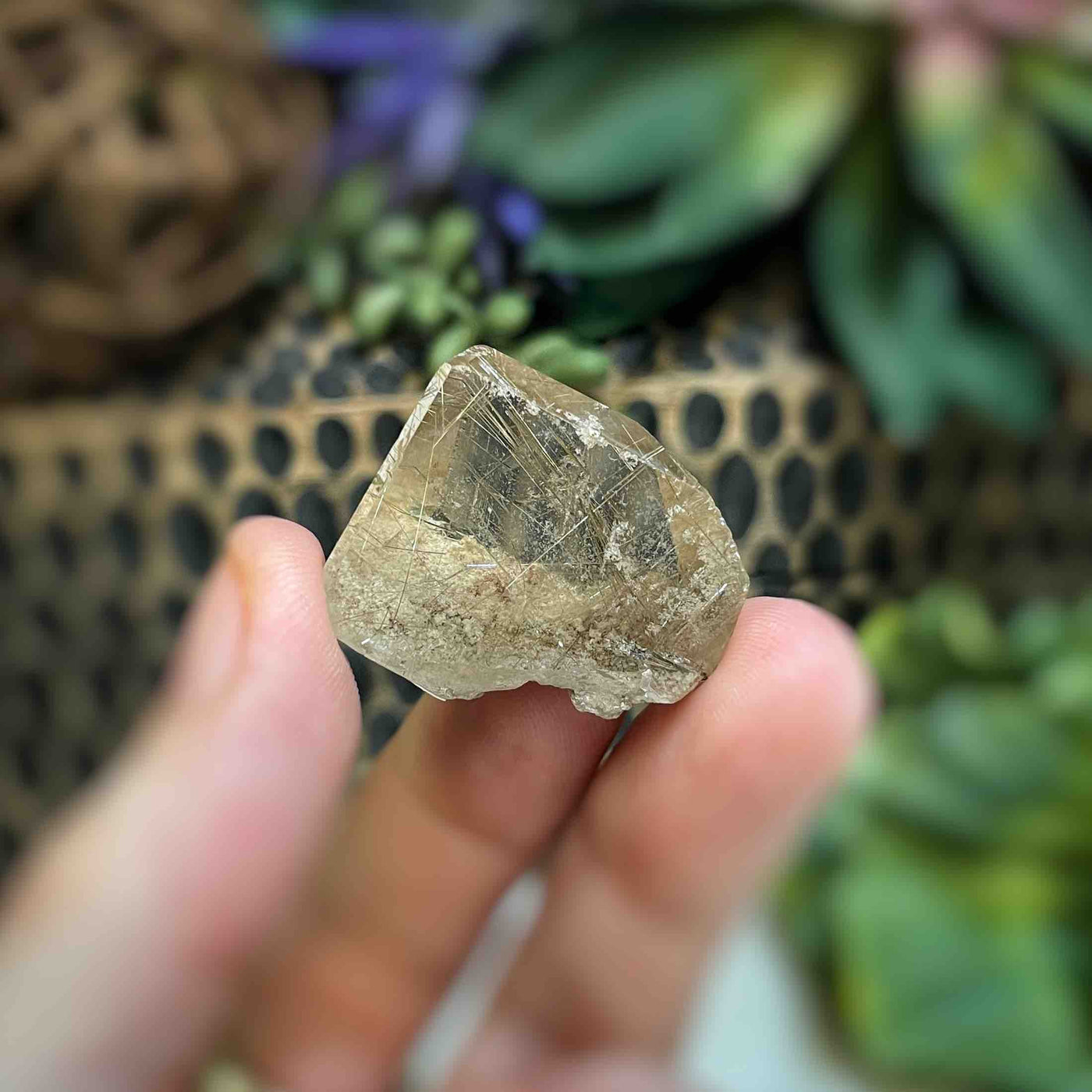 Rutilated Quartz - Freeform - QQ484 - 1"x1.3"