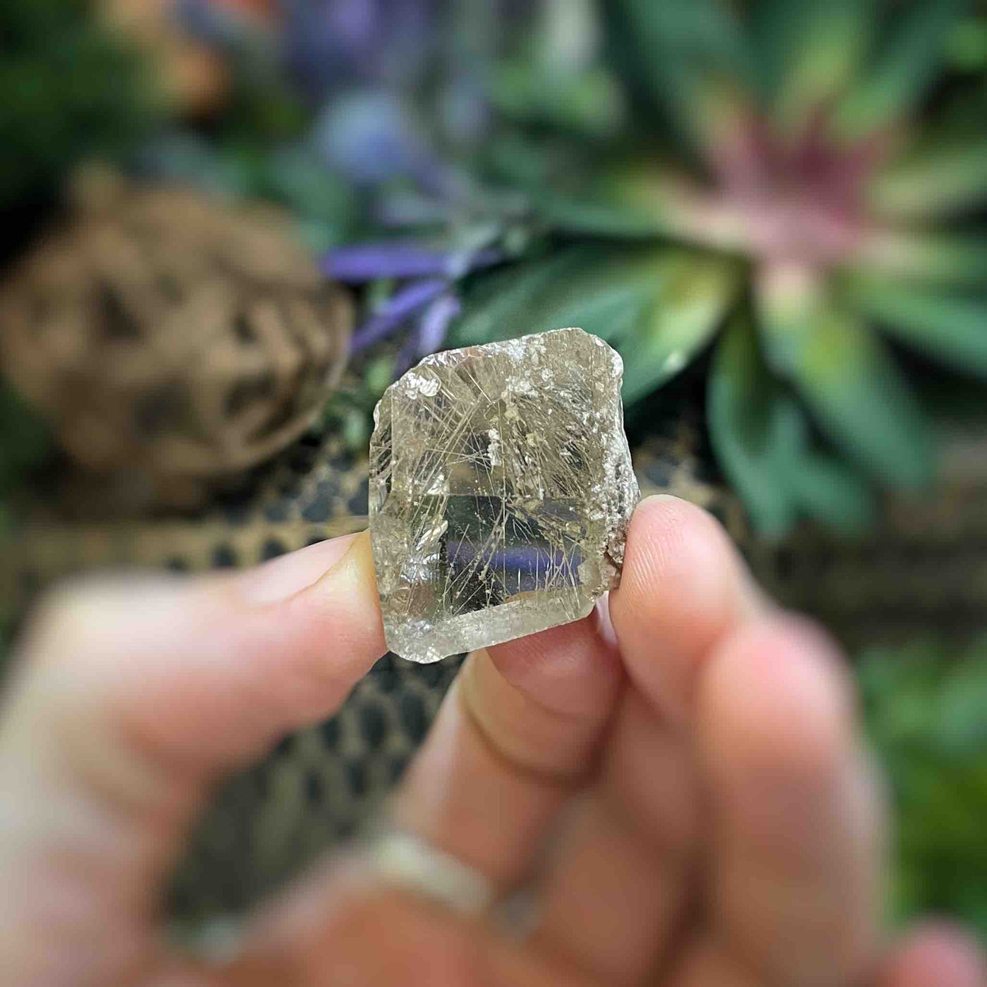 Rutilated Quartz - Freeform - QQ480 - 1"x1.25"