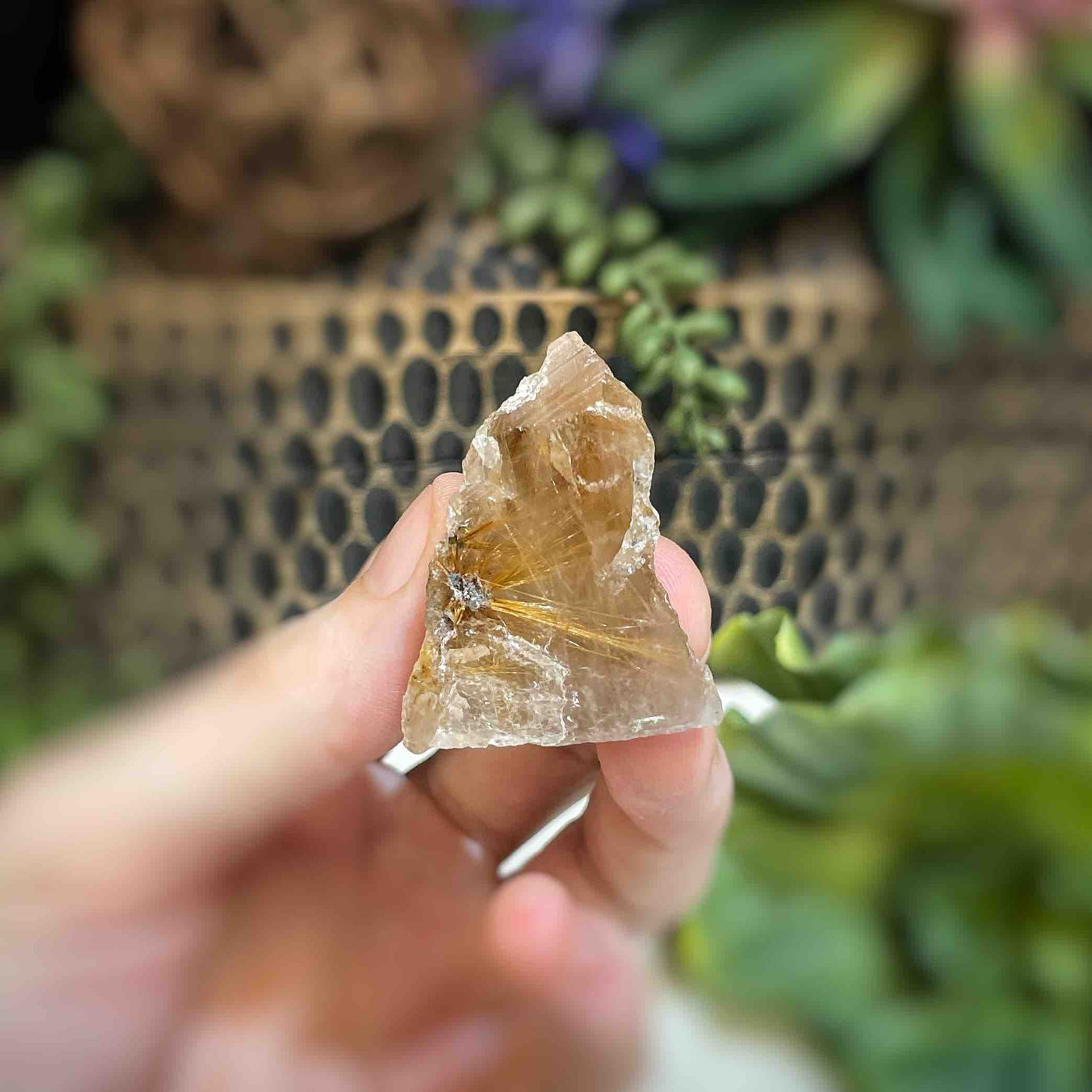 Rutilated Quartz - Freeform - QQ495 - 1.25"x1.5"