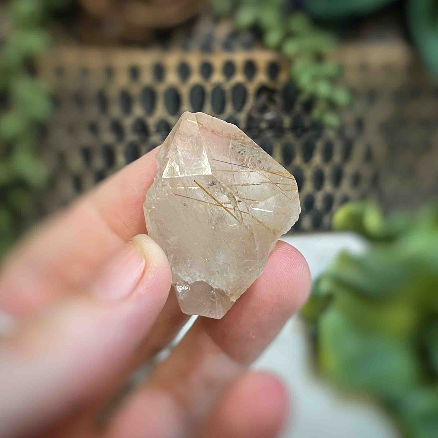 Rutilated Quartz - Freeform - QQ499 - 1.1"x1.6"