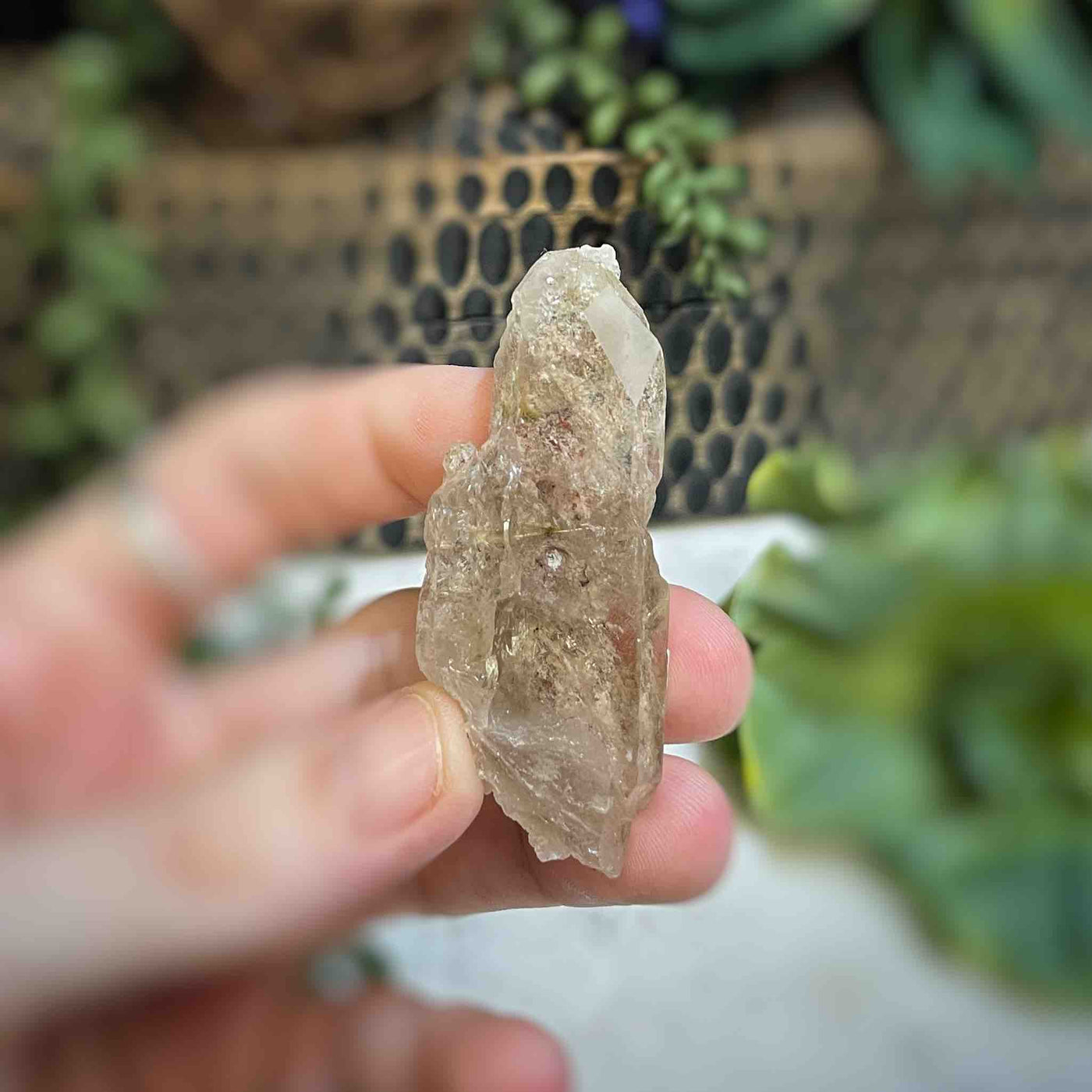Rutilated Quartz - Freeform - QQ501 - 1"x2.4"
