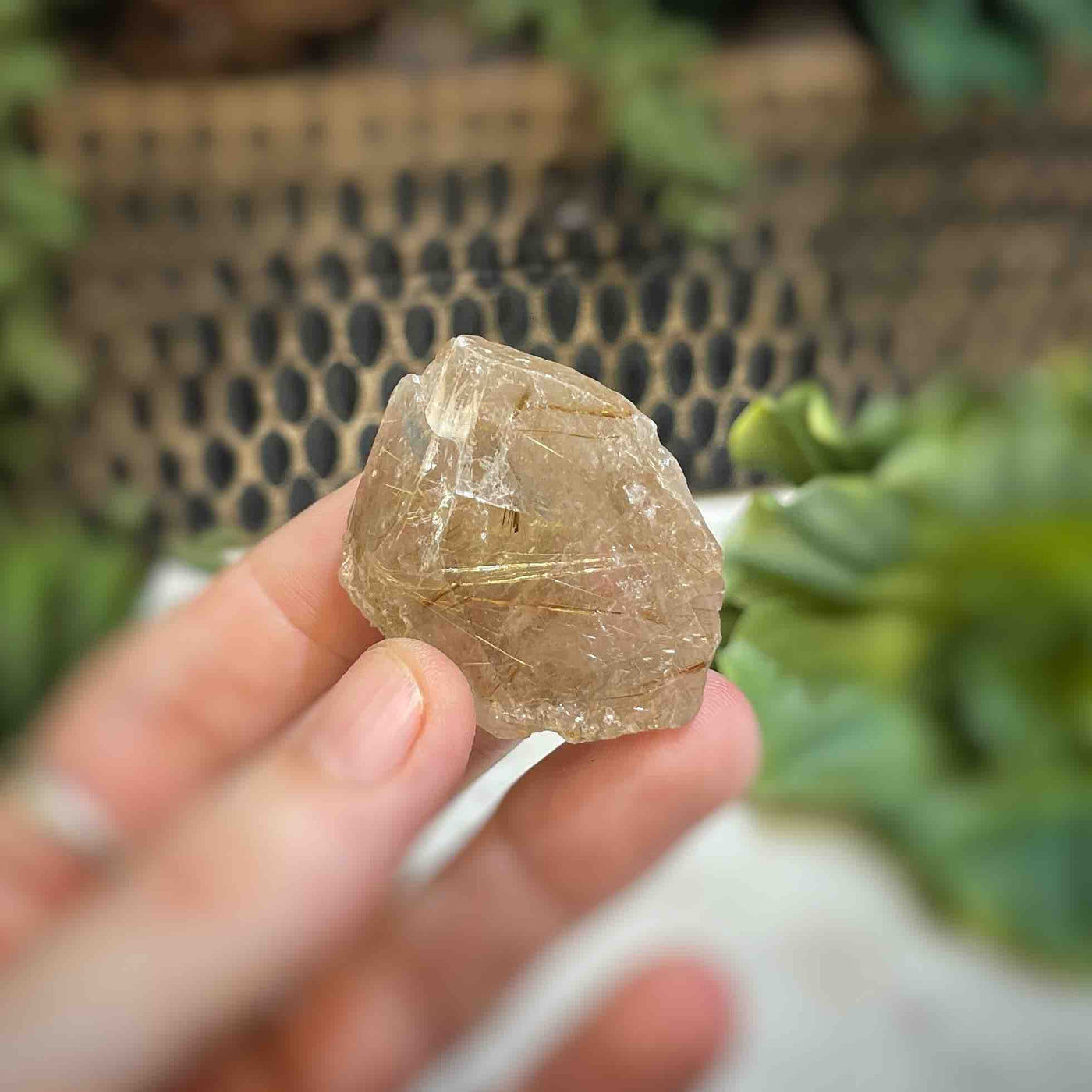 Rutilated Quartz - Freeform - QQ506 - 1.5"x1.25"
