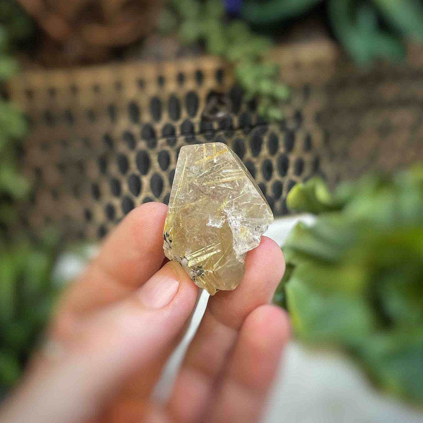 Rutilated Quartz - Freeform - QQ509 - 1"x1.5"