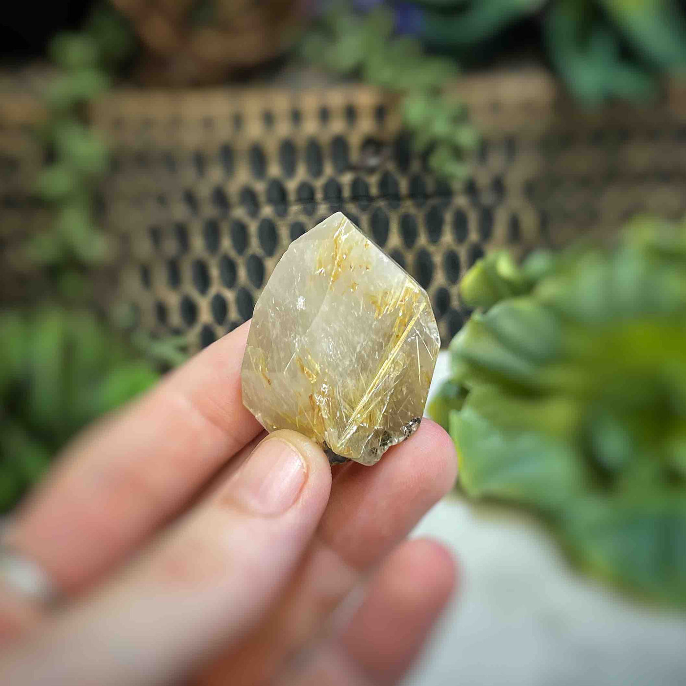 Rutilated Quartz - Freeform - QQ510 - 1"x1.6"
