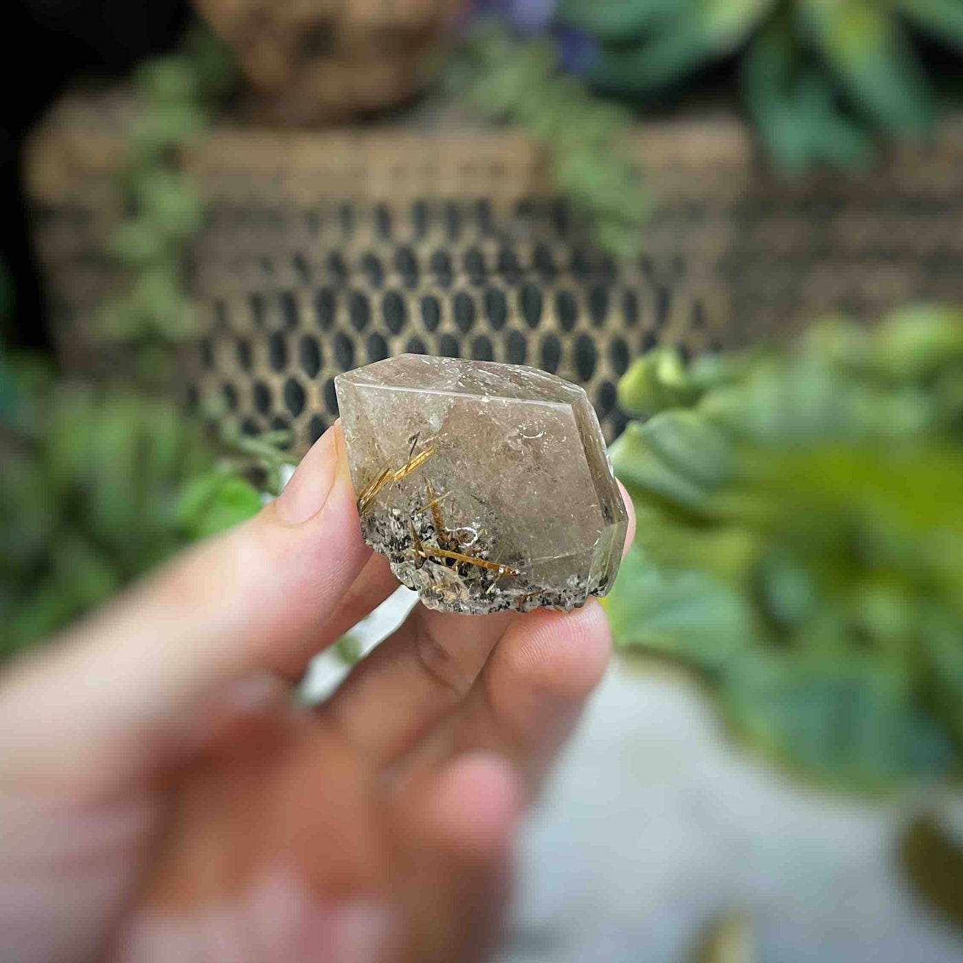 Rutilated Quartz - Freeform - QQ511 - 1.5"x0.8"