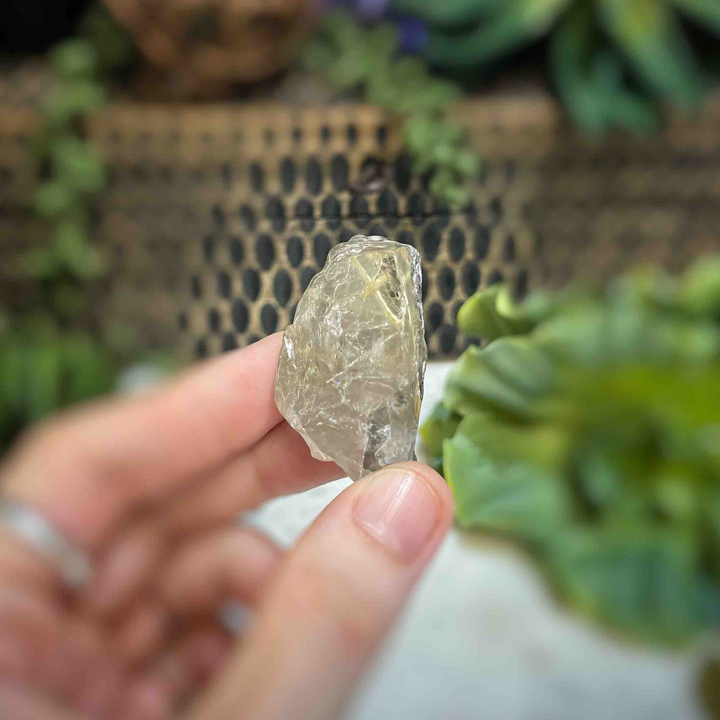 Rutilated Quartz - Freeform - QQ512 - 1.1"x1.75"