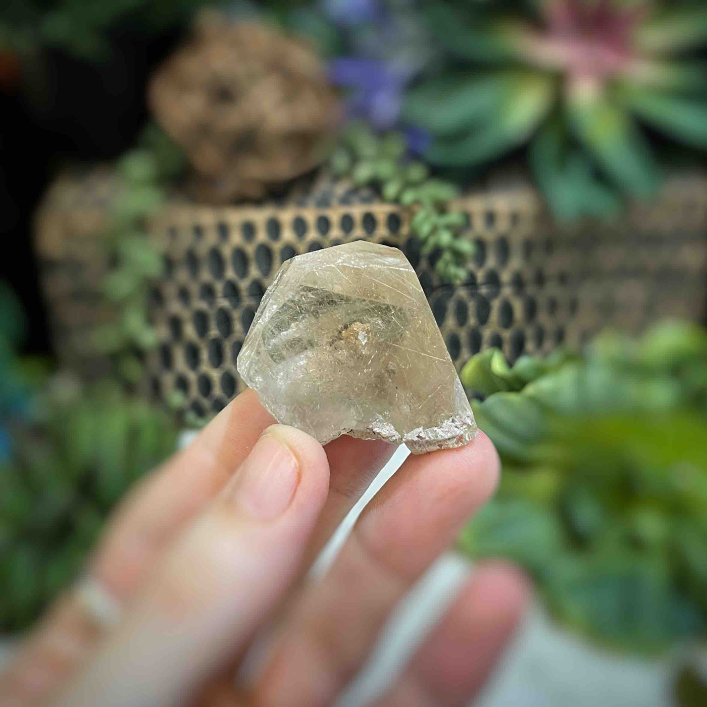 Rutilated Quartz - Freeform - QQ516 - 1.75"x1.3"