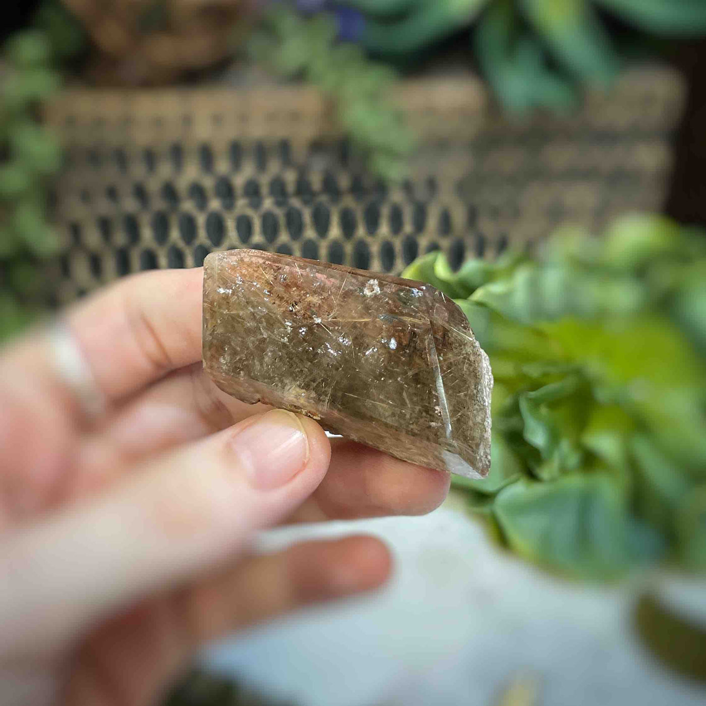 Rutilated Quartz - Freeform - QQ519 - 1.25"x1.7"