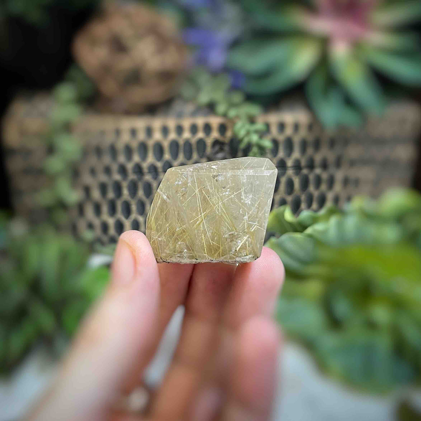 Rutilated Quartz - Freeform - QQ520 - 1.4"x2"