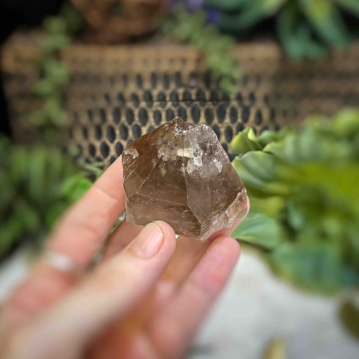 Rutilated Quartz - Freeform - QQ526 - 1.9"x1.75"
