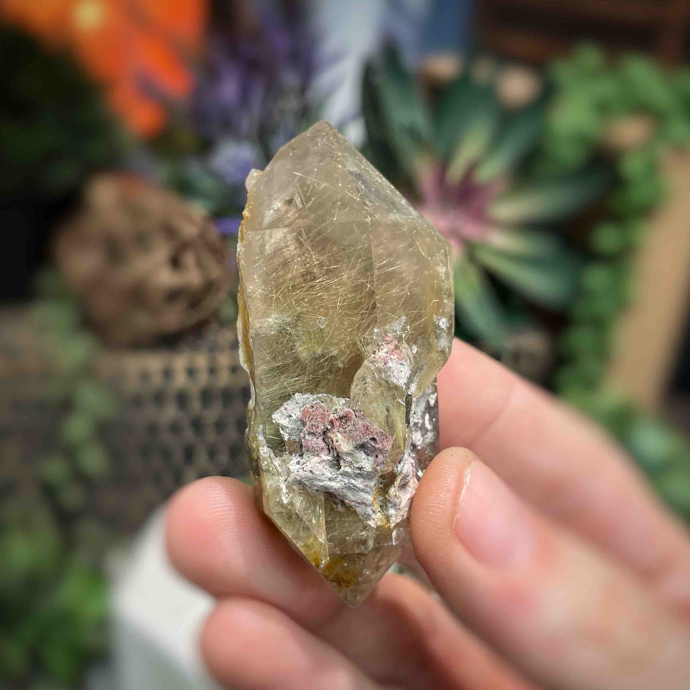 Rutilated Quartz -  Point - QQ536 - 1"x2.4"