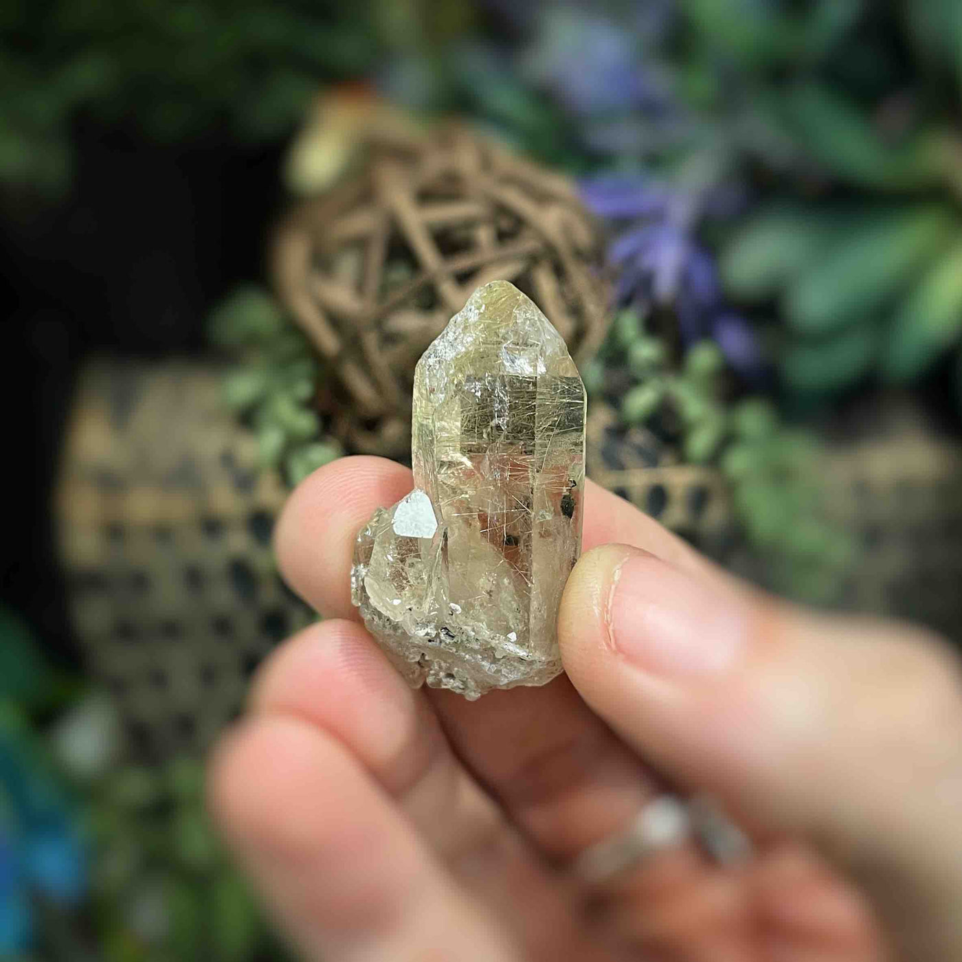 Rutilated Quartz -  Point int - QQ541 - 0.75"x1.5"