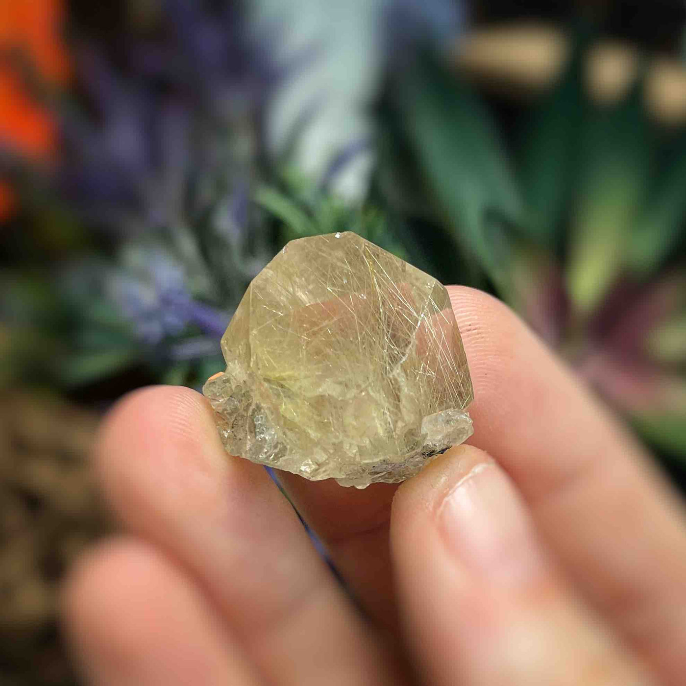 Rutilated Quartz -  Point  - QQ550 - 1"x1"
