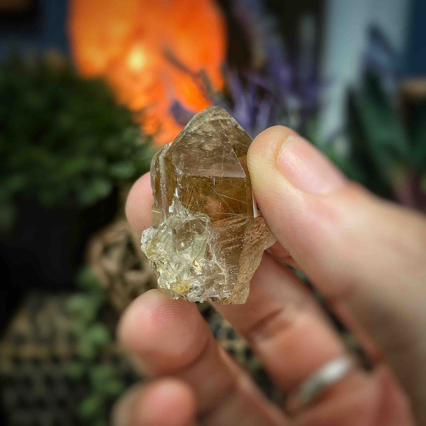 Rutilated Quartz -  Point - QQ569 - 1.2"x1.2"