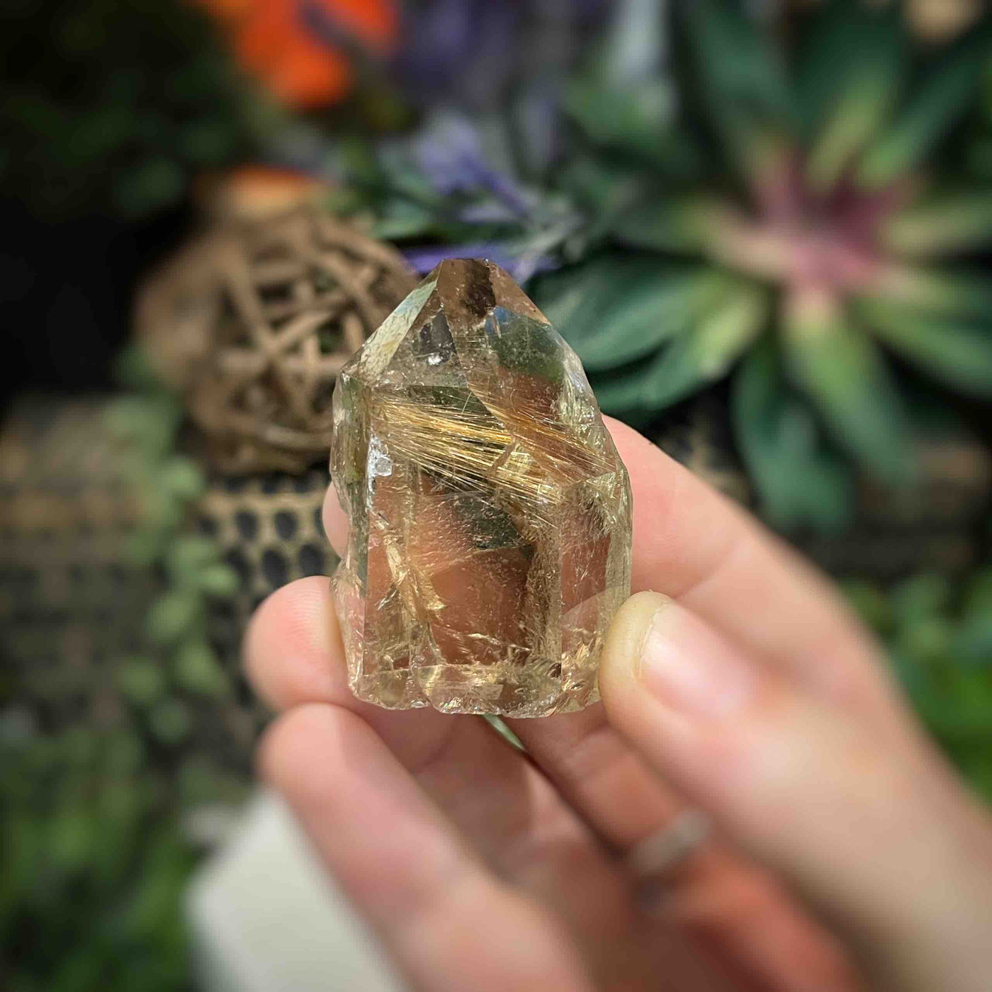 Rutilated Quartz -  Point - QQ584 - 1.2"x1.75"