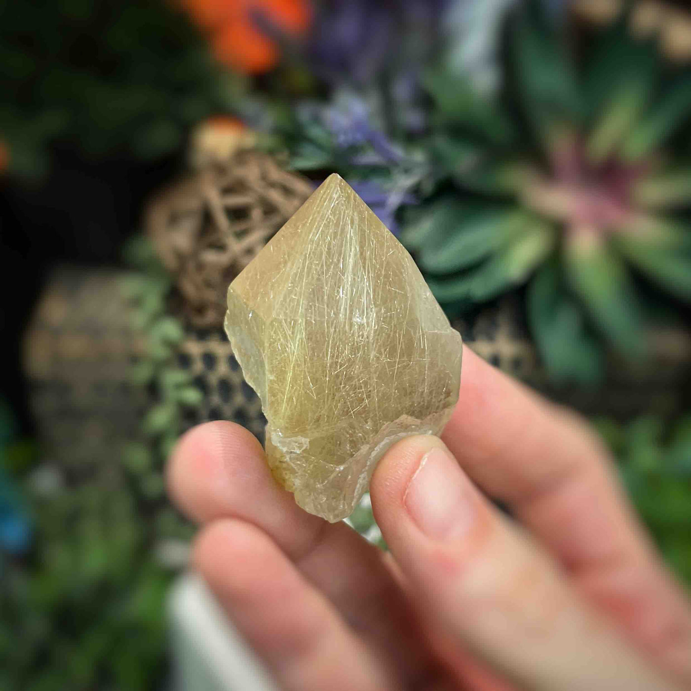 Rutilated Quartz -  Point - QQ586 - 1.6"x1.9"