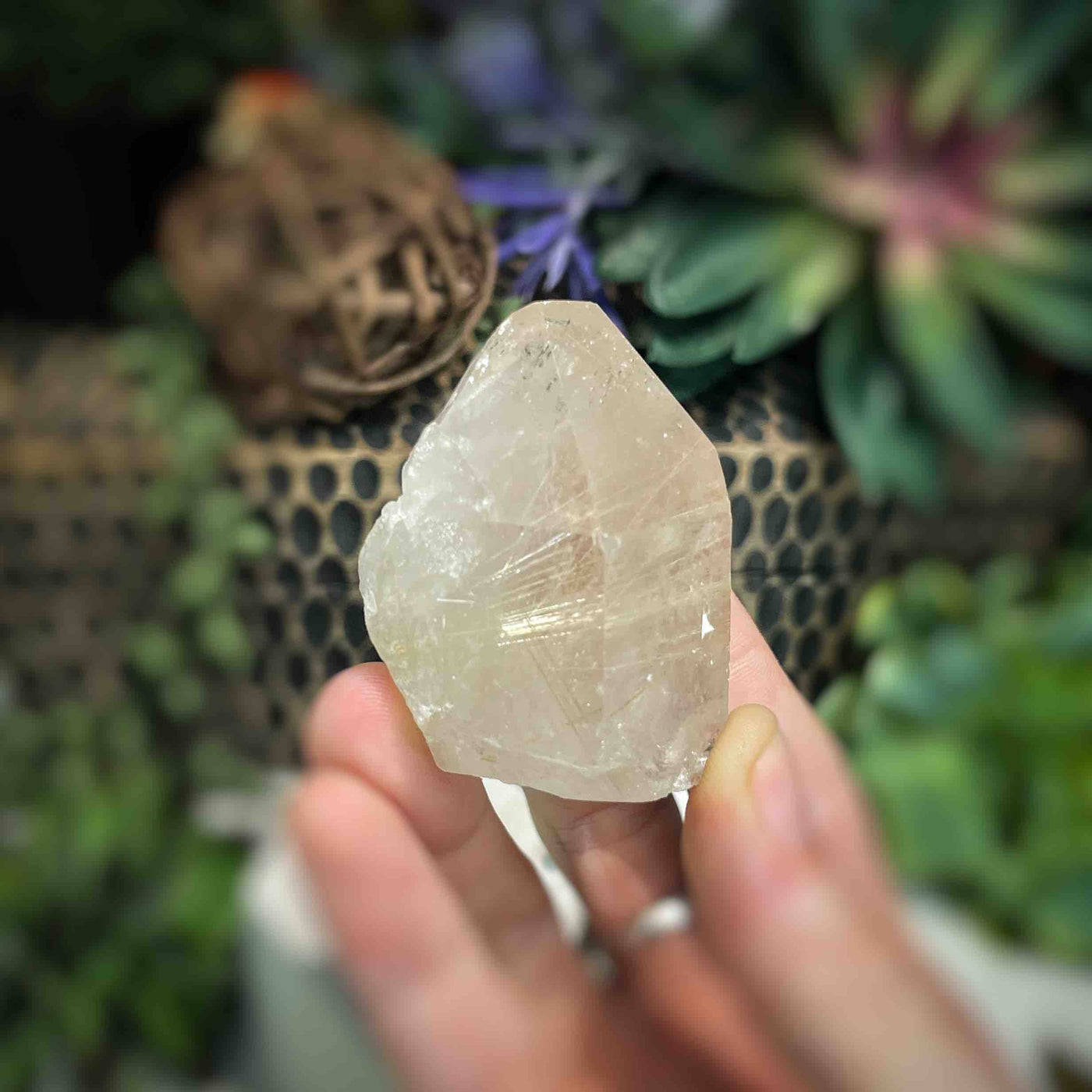 Rutilated Quartz -  Point - QQ587 - 1.7"x2"