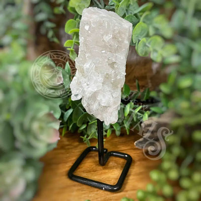 Free Form - Quartz On Stand Multi Choice D 3.1’ (With 5.3’) Crystals Tumbled