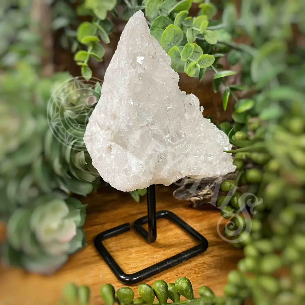 Free Form - Quartz On Stand Multi Choice E 3.5’ (With 5.4’) Crystals Tumbled