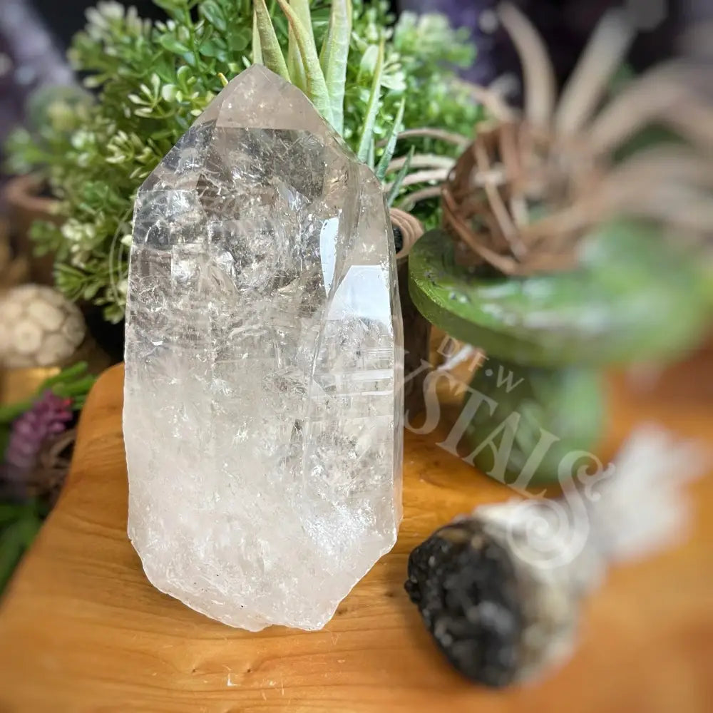 Tower Point Obelisk - Quartz Points Large & Clear 5.3 8.25 A Crystals