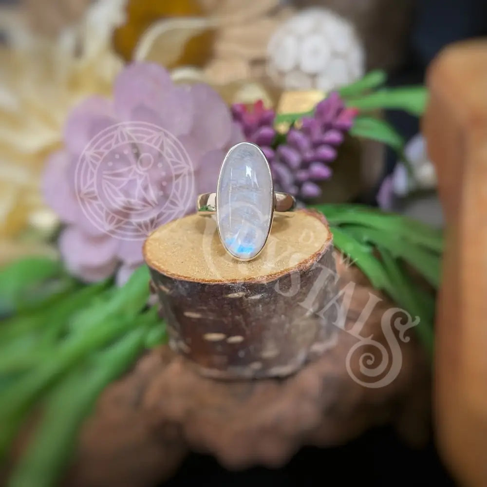 Ring - Rainbow Moonstone Multiple Sizes A-6 Jewelry