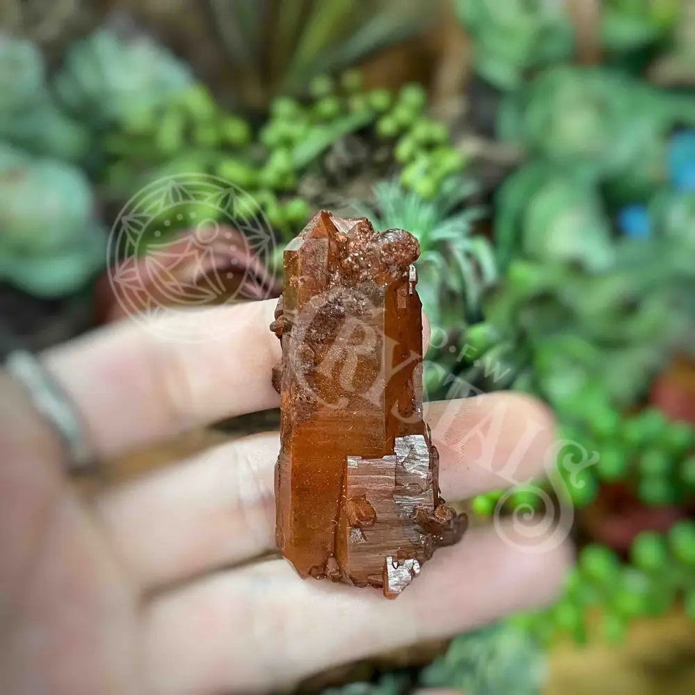 Tower Point Obelisk - Red Quartz Points M Apx 1.25’ 3.0’ Crystals