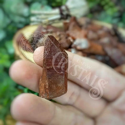 Tower Point Obelisk - Red Quartz Points S Apx 0.75’ 1.24’ Crystals