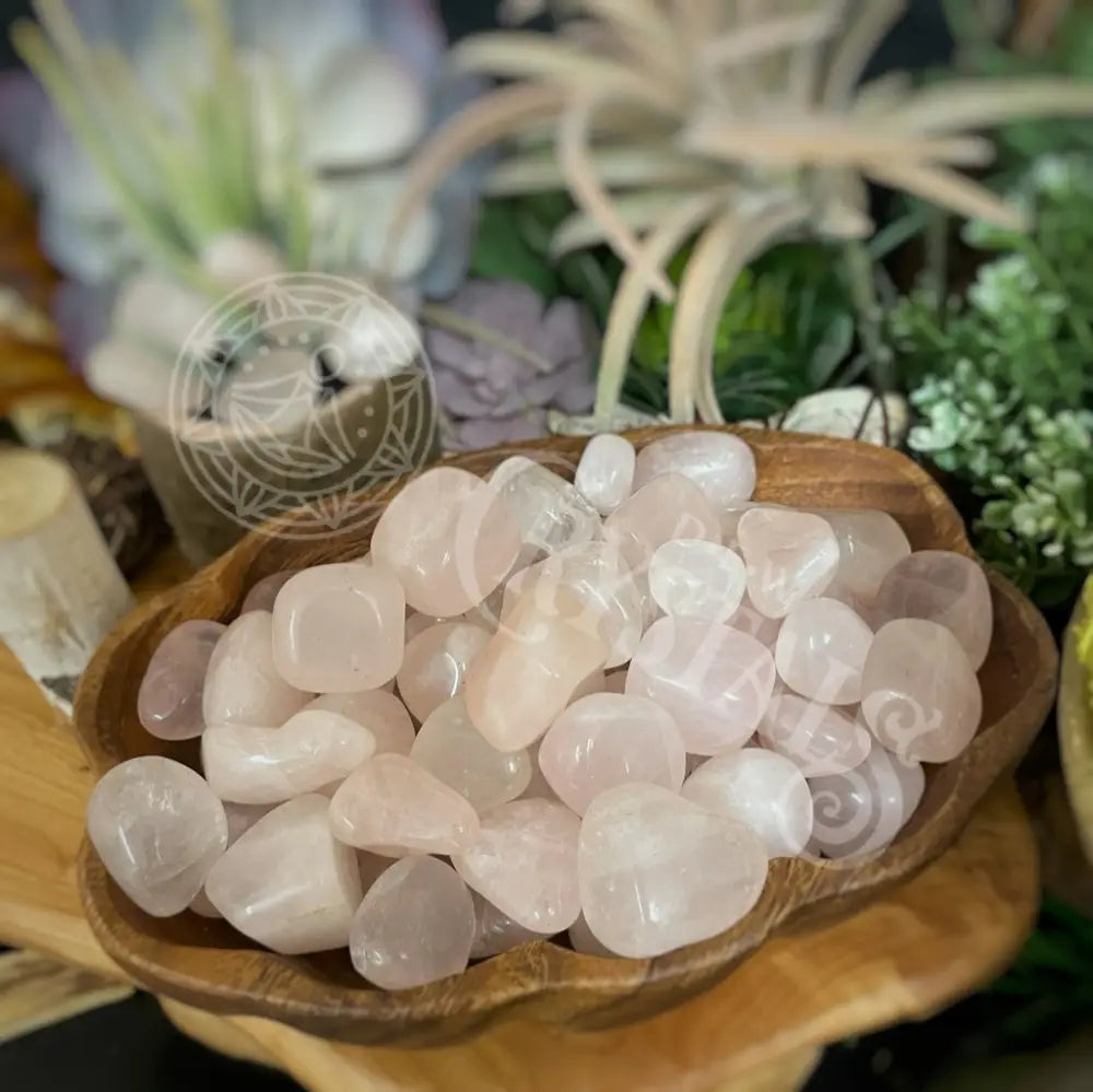 Tumbled - Rose Quartz 0.5 1.25 Crystals