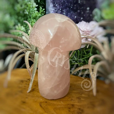 Mushroom - Rose Quartz 4.0 4.6 J Crystals