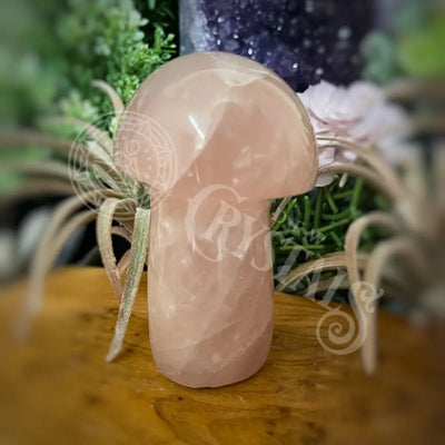 Mushroom - Rose Quartz 4.0 4.6 K 4.25 Crystals