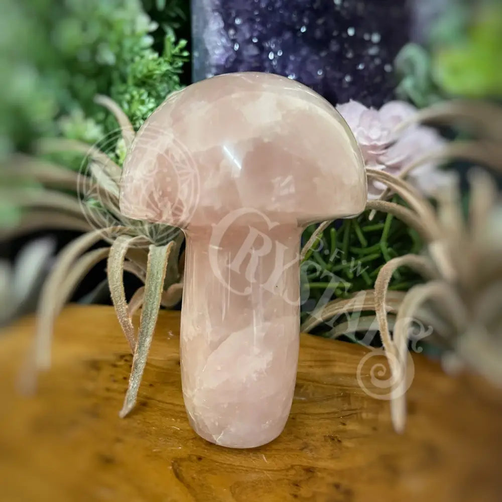 Mushroom - Rose Quartz 4.0 4.6 L 4.3 Crystals