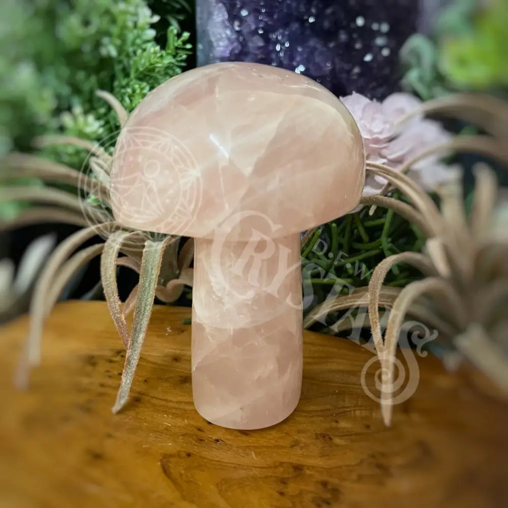 Mushroom - Rose Quartz 4.0 4.6 M 4.25 Crystals