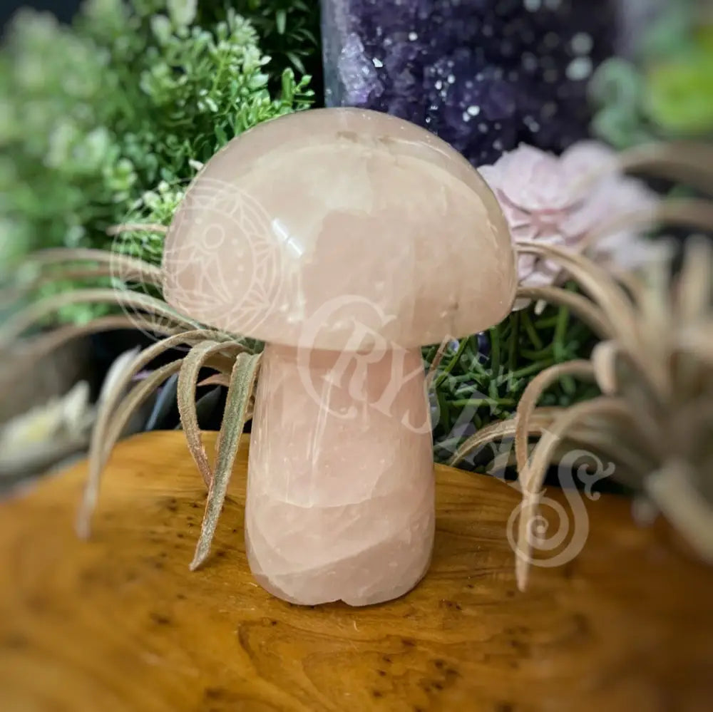 Mushroom - Rose Quartz 4.0 4.6 O 4.5 Crystals