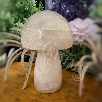 Mushroom - Rose Quartz 4.0 4.6 P Crystals