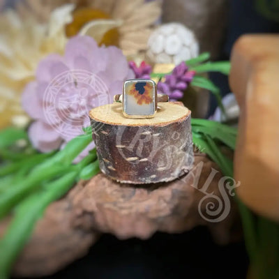 Ring - Scenic Dendritic Agate Multiple Sizes B7 Jewelry